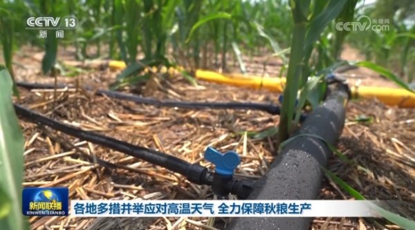 在线配资炒股开户服务 河南：全力保障秋粮生产 科技助力抗旱保苗